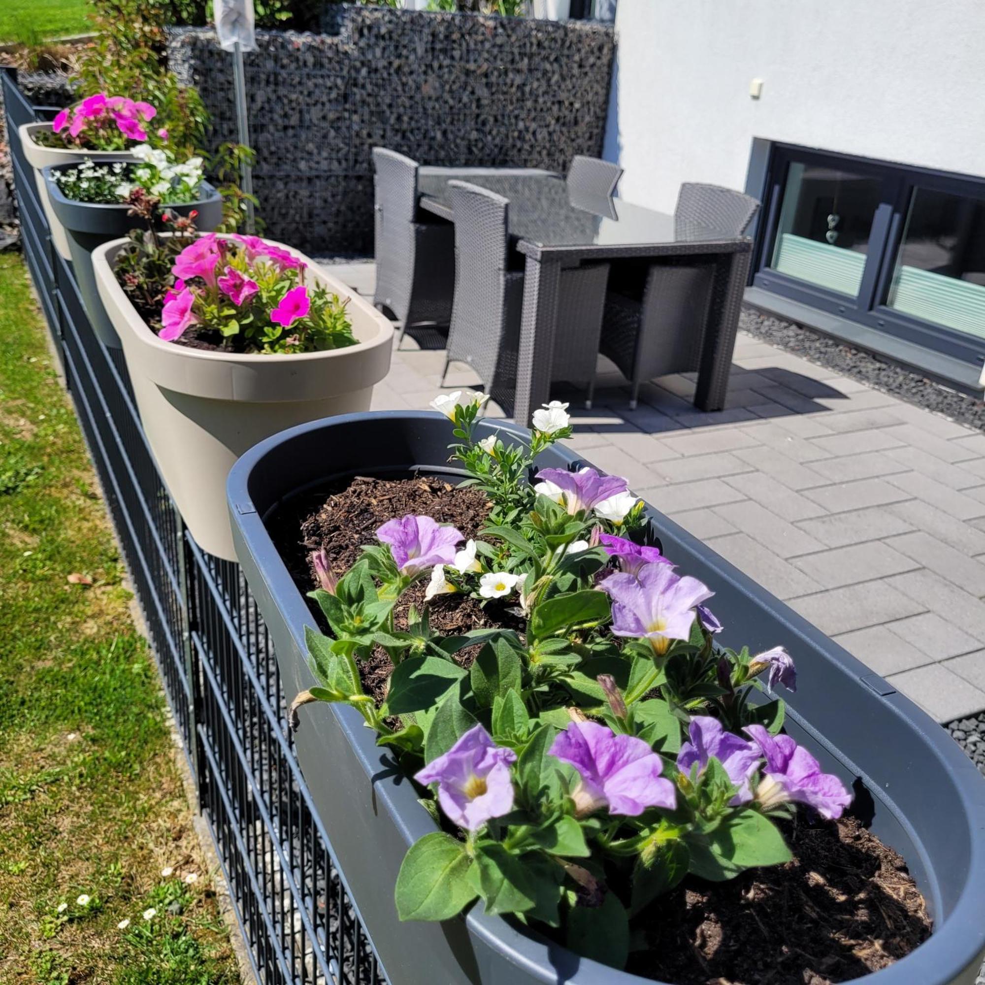 Eifelherz Mit Sonnenterrasse Nideggen Exterior foto